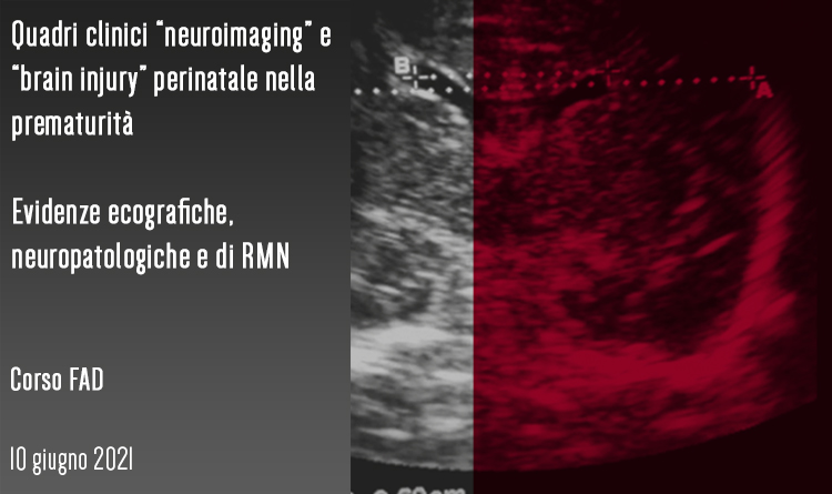 Quadri clinici “neuroimaging” e “brain injury” perinatale nella prematurità Evidenze ecografiche, neuropatologiche e di RMN